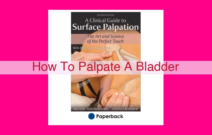 how to palpate a bladder