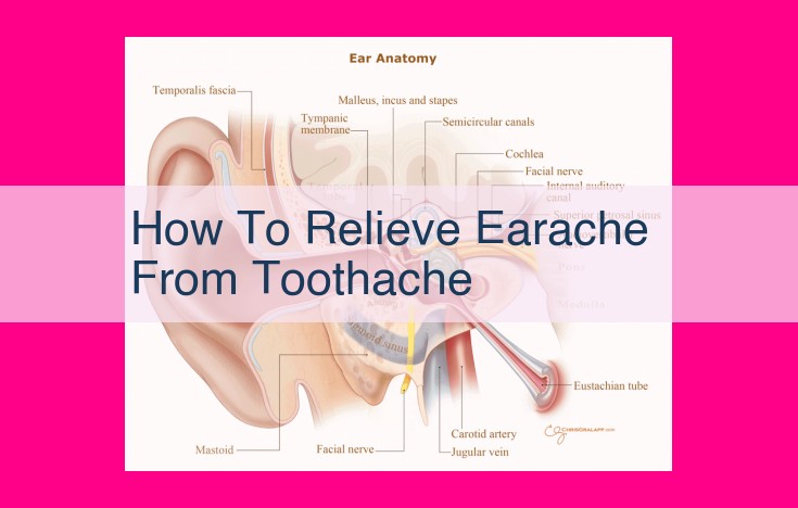 how to relieve earache from toothache