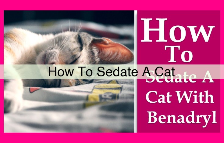 how to sedate a cat