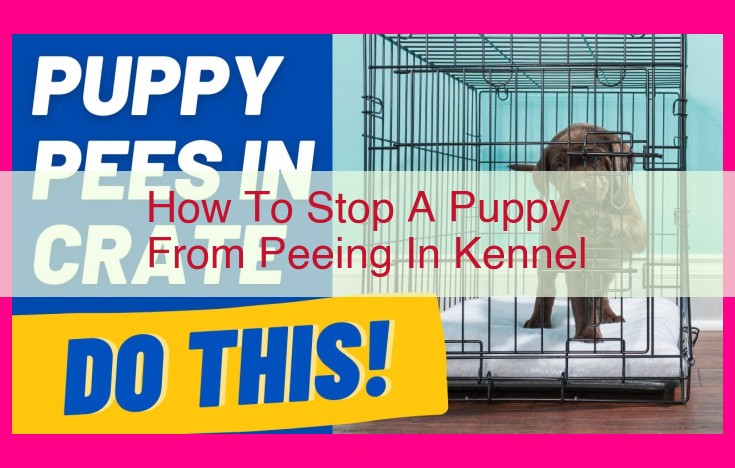 how to stop a puppy from peeing in kennel