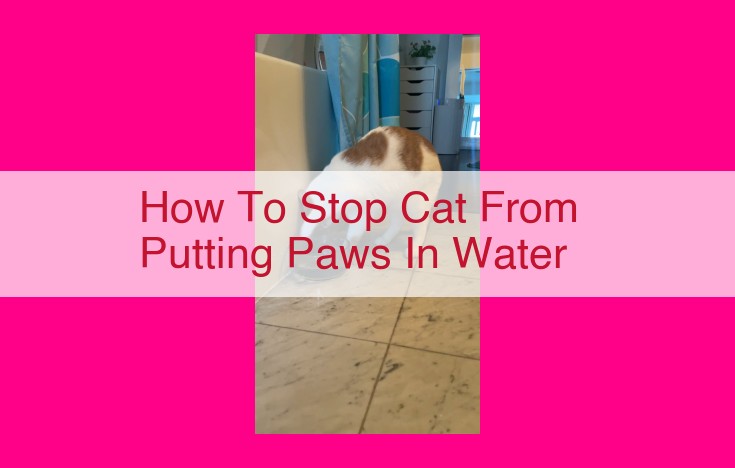 how to stop cat from putting paws in water