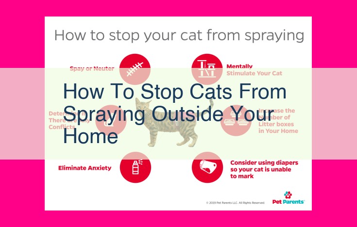 how to stop cats from spraying outside your home