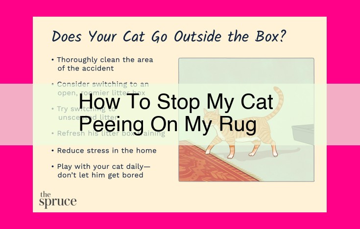 how to stop my cat peeing on my rug