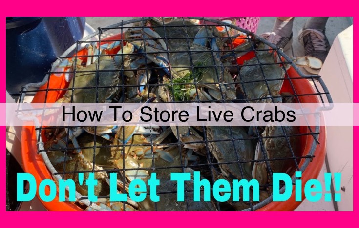 how to store live crabs