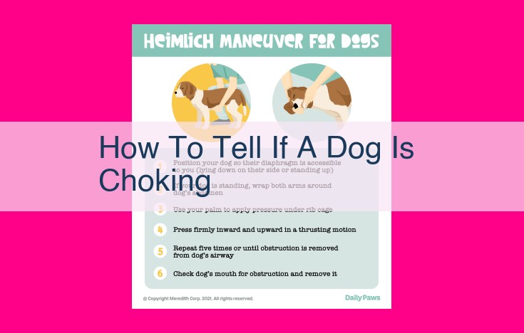 how to tell if a dog is choking