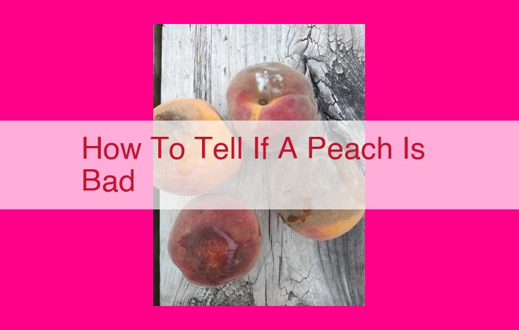 how to tell if a peach is bad