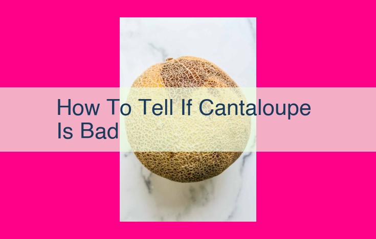 how to tell if cantaloupe is bad