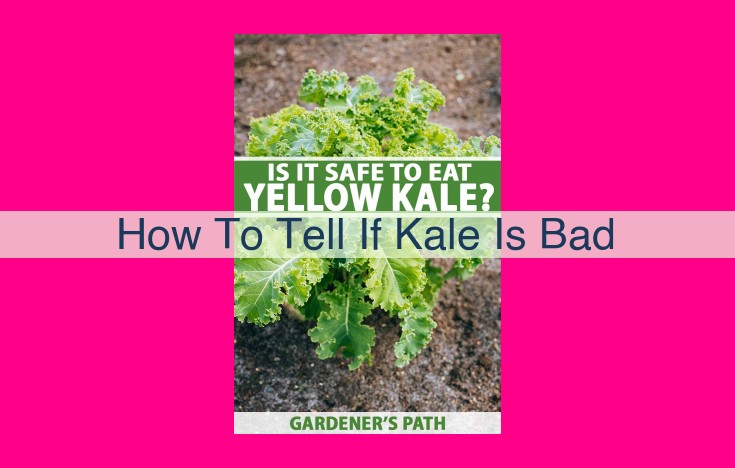 how to tell if kale is bad