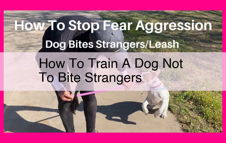 how to train a dog not to bite strangers