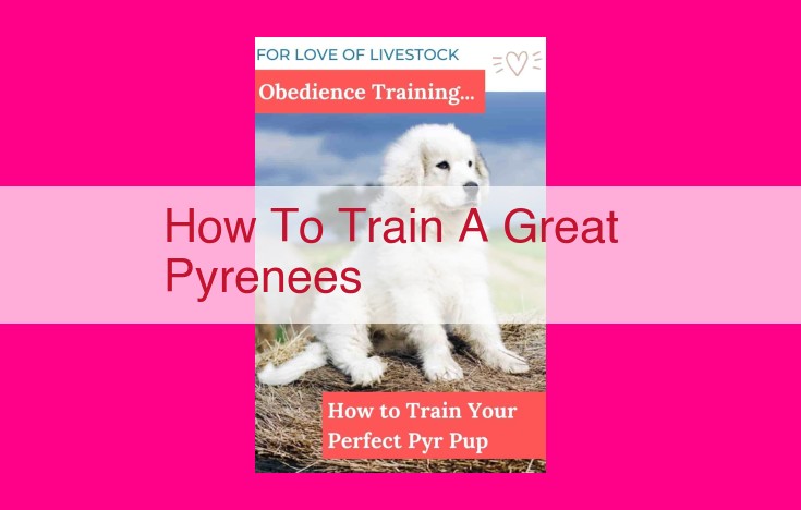 how to train a great pyrenees