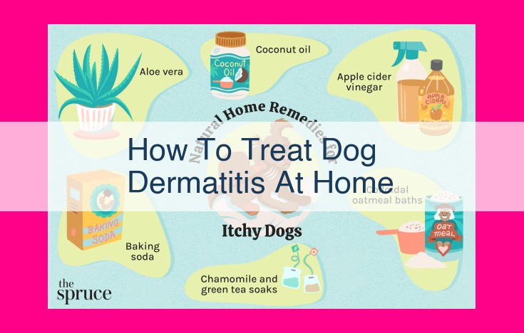 how to treat dog dermatitis at home