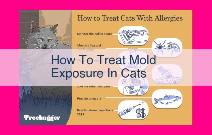 how to treat mold exposure in cats