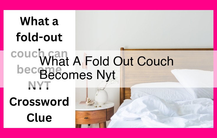 what a fold out couch becomes nyt