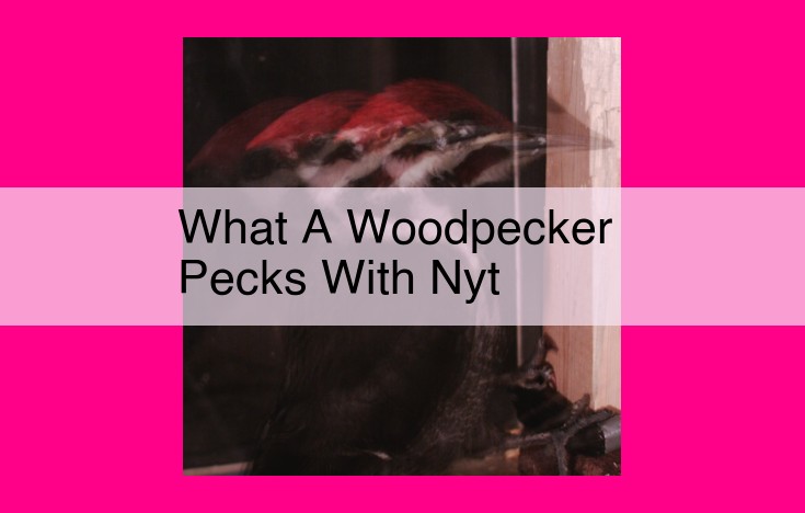 what a woodpecker pecks with nyt