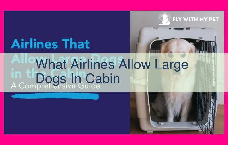 what airlines allow large dogs in cabin