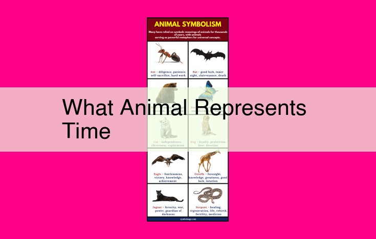 what animal represents time