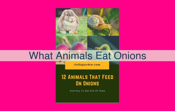 what animals eat onions