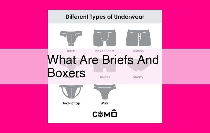 what are briefs and boxers