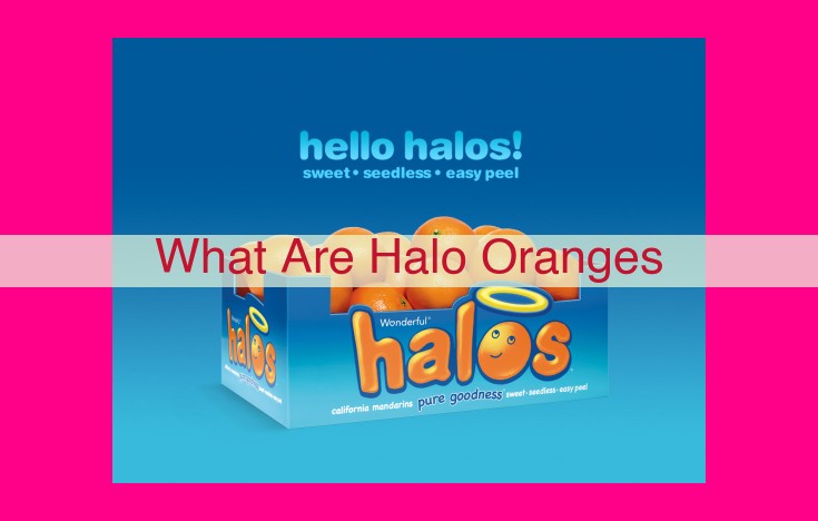 what are halo oranges