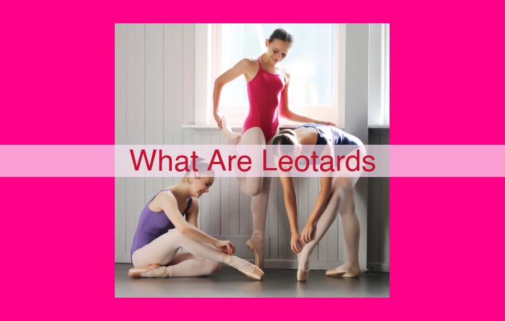 what are leotards