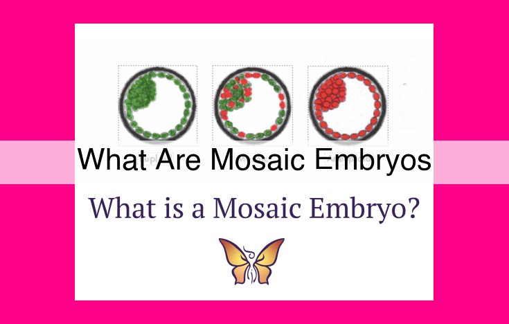 what are mosaic embryos