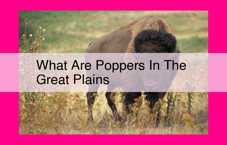 what are poppers in the great plains