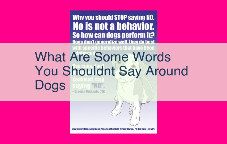 what are some words you shouldnt say around dogs