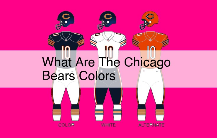 what are the chicago bears colors