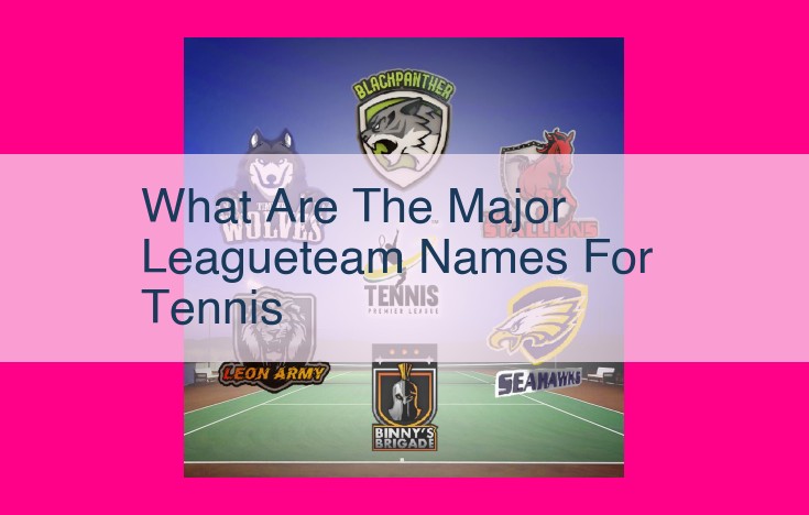 what are the major leagueteam names for tennis