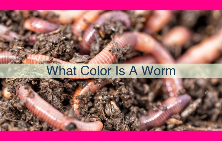 what color is a worm