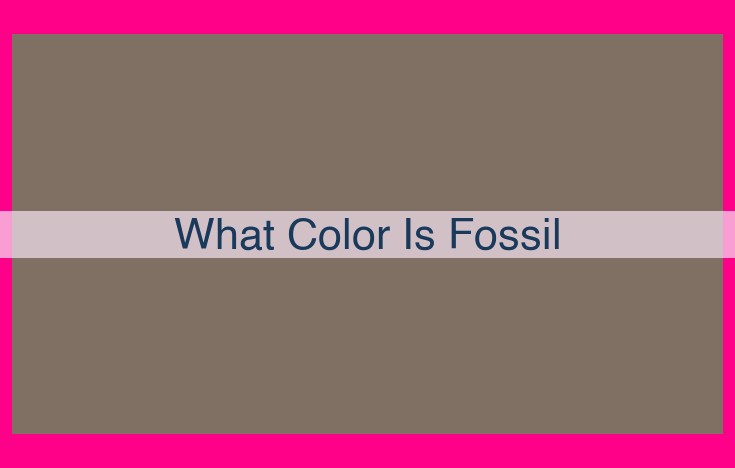 what color is fossil