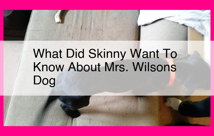 what did skinny want to know about mrs. wilsons dog