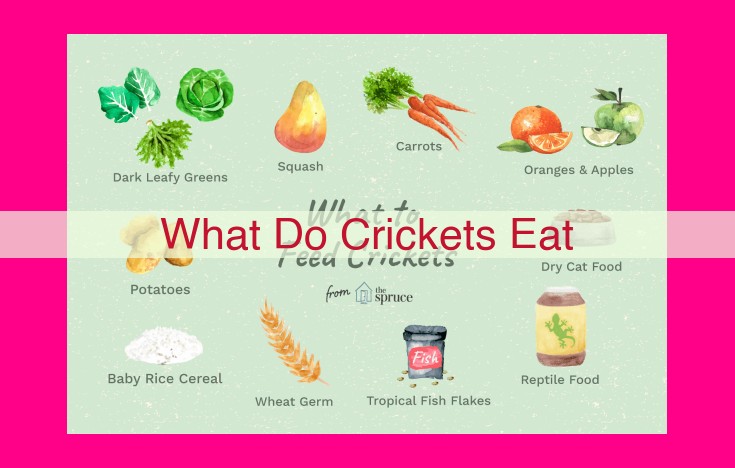 what do crickets eat