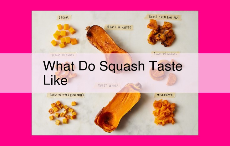 what do squash taste like