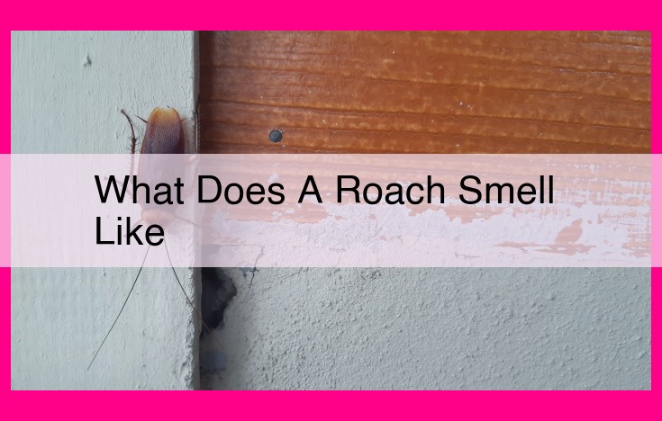 what does a roach smell like