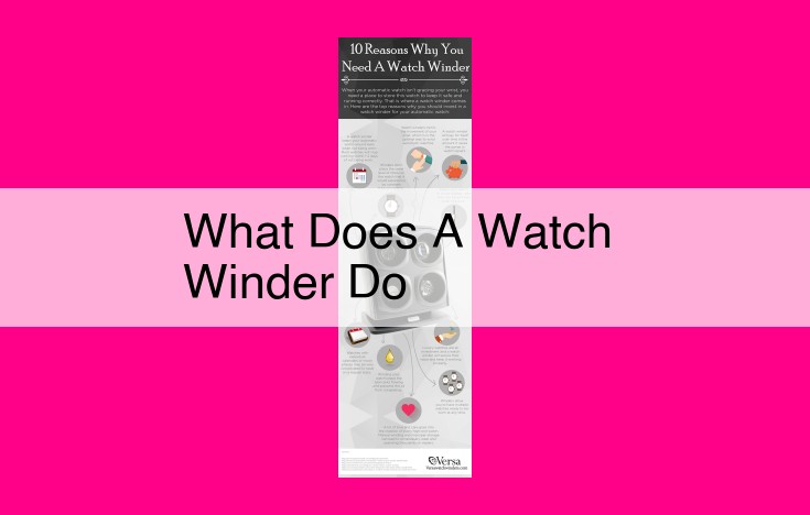 what does a watch winder do