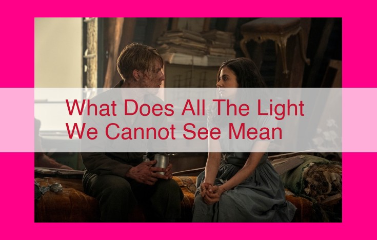 what does all the light we cannot see mean