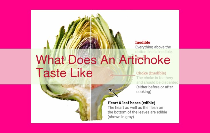 what does an artichoke taste like