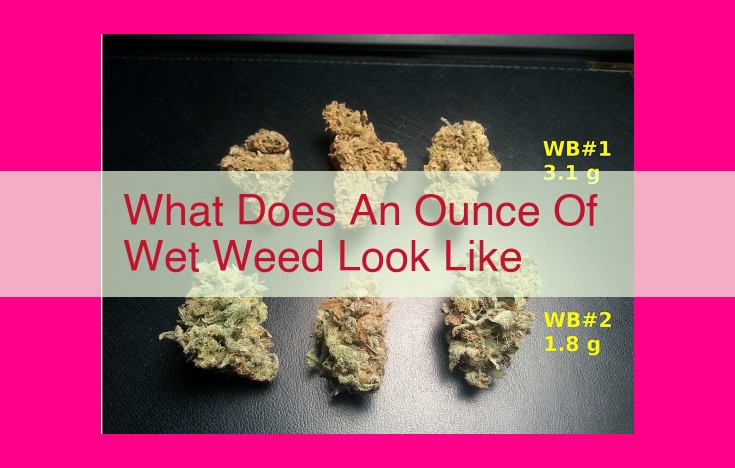 what does an ounce of wet weed look like