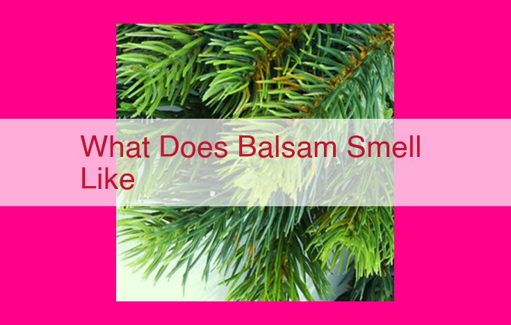 what does balsam smell like