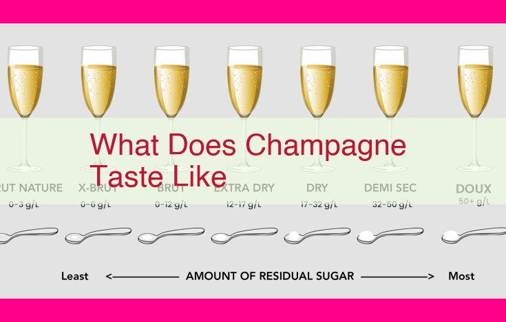 what does champagne taste like