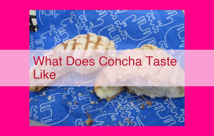 what does concha taste like