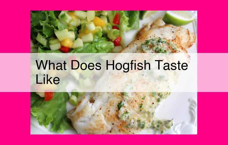 what does hogfish taste like