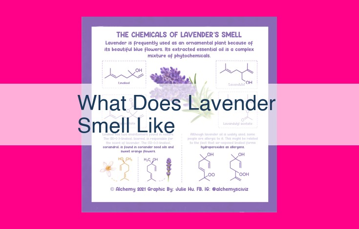 what does lavender smell like