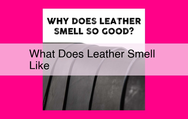 what does leather smell like