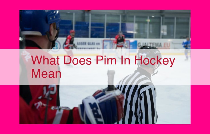 what does pim in hockey mean