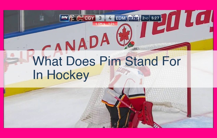 what does pim stand for in hockey