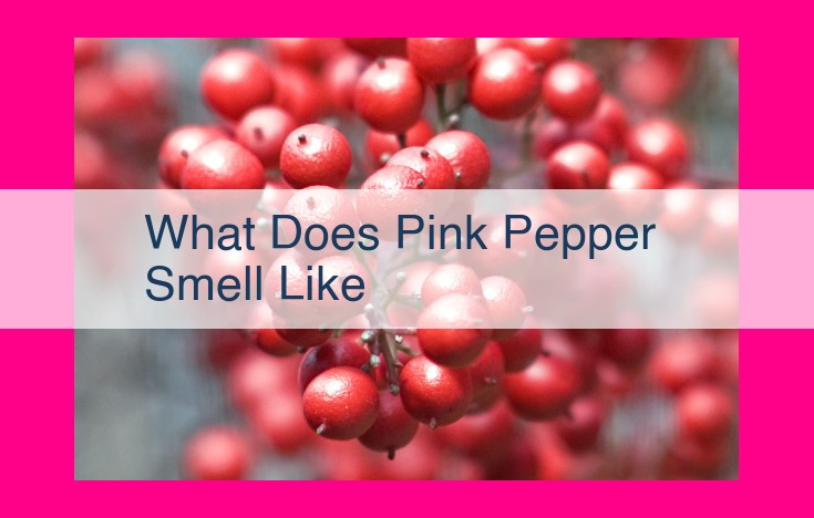 what does pink pepper smell like