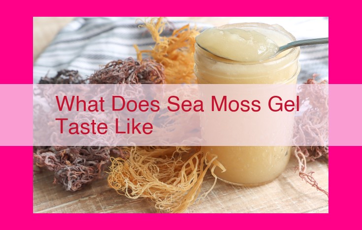 what does sea moss gel taste like