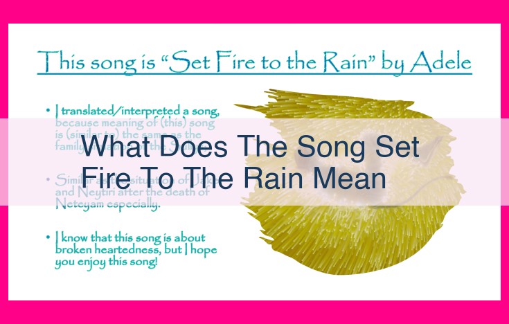 what does the song set fire to the rain mean